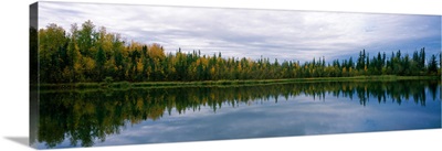 Reflection of trees in a lake Alaska