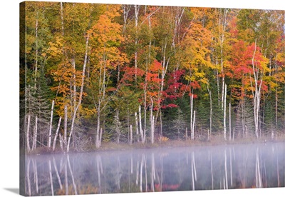 Reflection of trees in a lake in autumn, Pete's Lake, Michigan