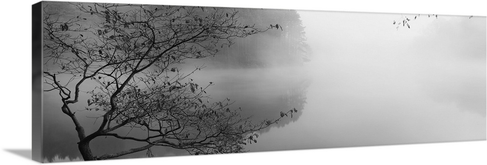 Reflection of trees in a lake, Lake Vesuvius, Wayne National Forest, Ohio