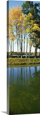Reflection of trees in a lake, New England