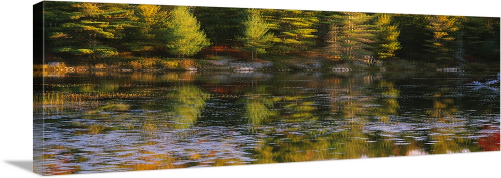 Reflection of trees in a pond, Jordan Pond, Acadia National Park, Maine ...