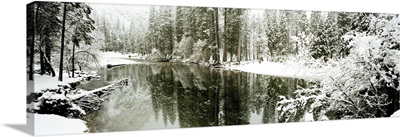 Reflection of trees in a river, Merced River, Yosemite Valley, Yosemite National Park, Mariposa County, California