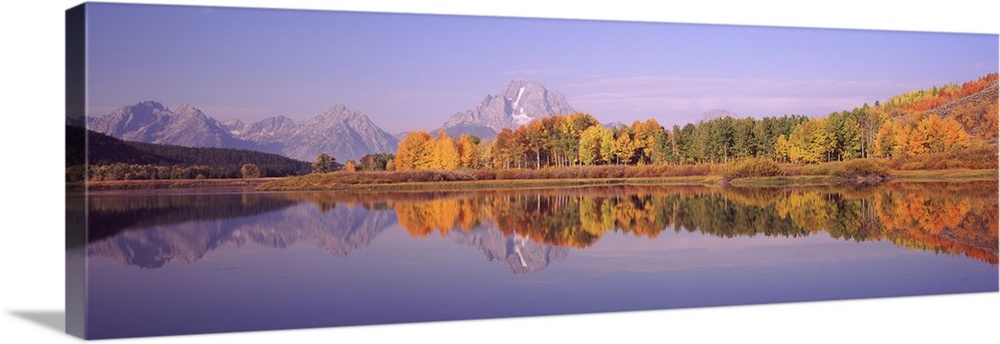 Reflection of trees in a river Oxbow Bend Snake River Grand Teton National Park Teton County Wyoming
