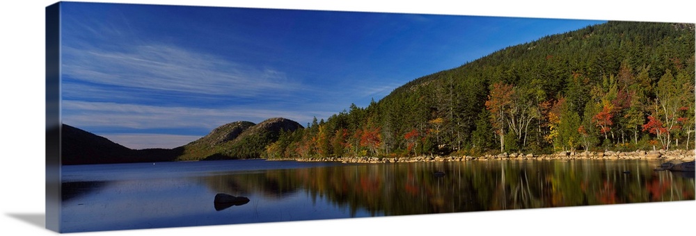 Reflection of trees in water, Acadia National Park, Maine