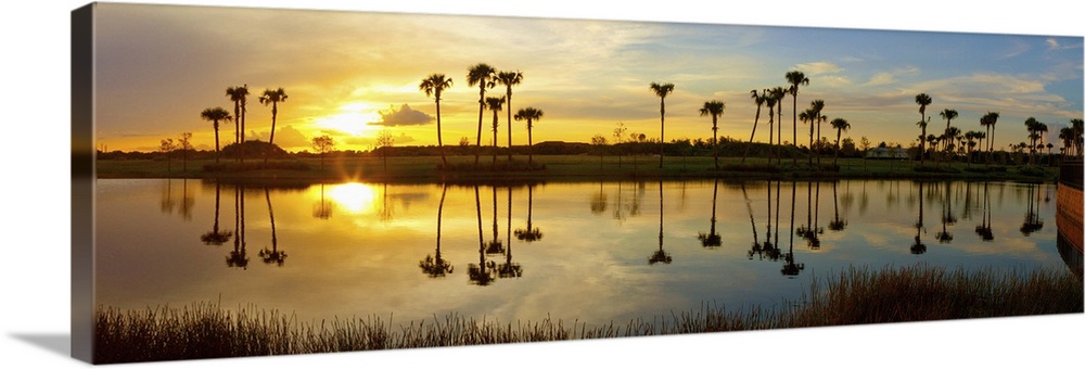 Reflection of trees in water at sunset, Lake Worth, Palm Beach County, Florida