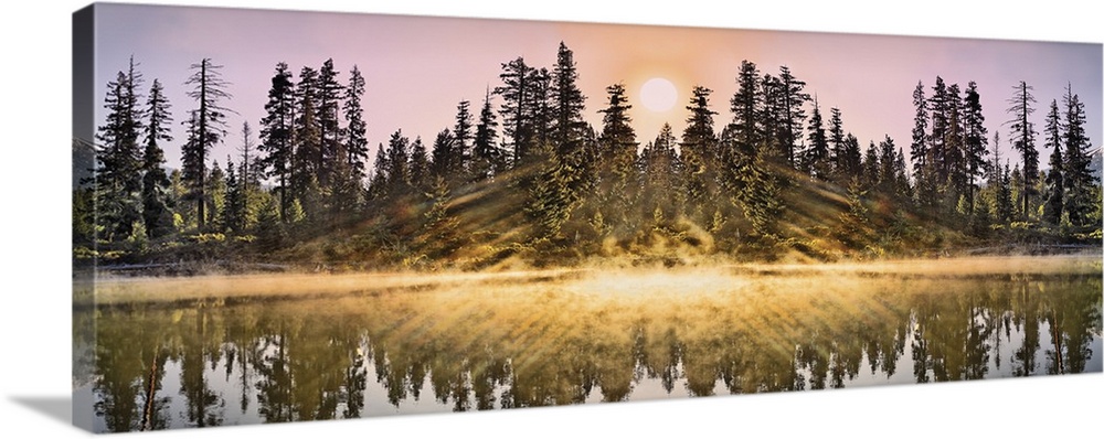 Reflection of trees in water, Oregon Wall Art, Canvas Prints, Framed ...