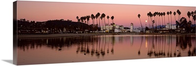 Reflection of trees in water, Santa Barbara, California,