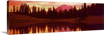 Reflection of trees in water, Tipsoo Lake, Mt Rainier, Mt Rainier National Park, Washington State