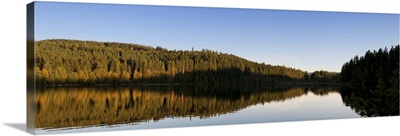 Reflection of trees in Windgfallweiher Lake, Black Forest, Baden-Wurttemberg, Germany