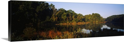 Reflection of trees on water, Jamestown, Virginia
