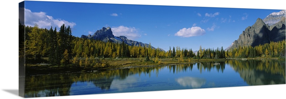 Reflection of trees on water, Lake OHara, Yoho National Park, British Columbia, Canada