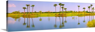 Reflection of trees on water, Lake Worth, Palm Beach County, Florida