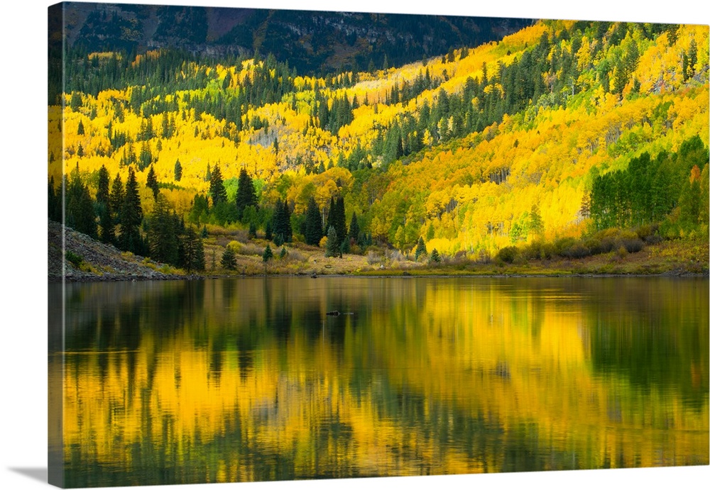 Reflection of trees on water, Maroon Lake, Maroon Bells, Maroon Creek Valley, Aspen, Pitkin County, Colorado, USA
