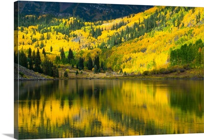 Reflection of trees on water, Maroon Lake, Maroon Creek Valley, Aspen, Colorado