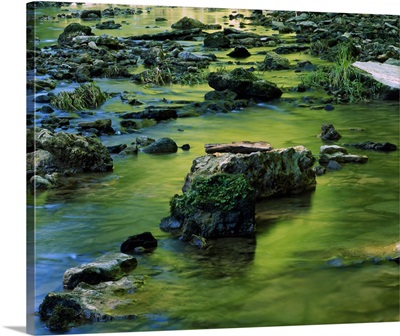 Reflective water in rocky stream, White Pine Hollow Preserve, Iowa