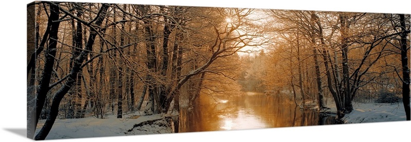 River flowing through a forest | Great Big Canvas