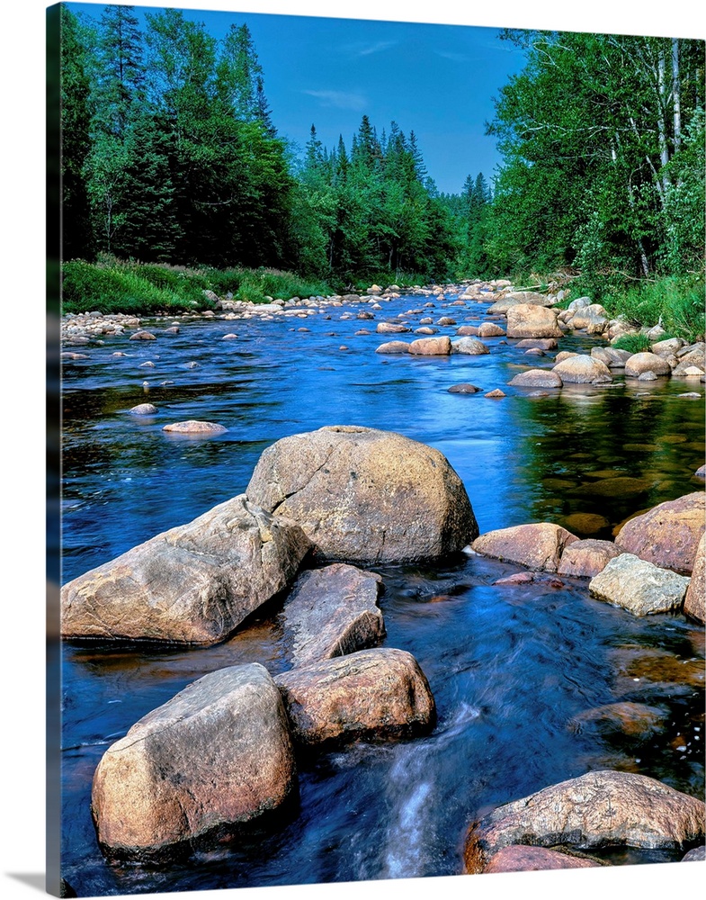 River flowing through a forest, Ausable River, Lake Placid, Adirondack Mountains, Essex County, New York State, USA.
