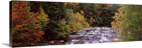 River flowing through a forest Ausable River Adirondack Mountains ...