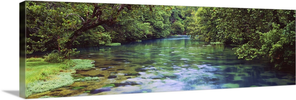 River flowing through a forest, Big Spring, Ozark National Scenic Riverways, Missouri