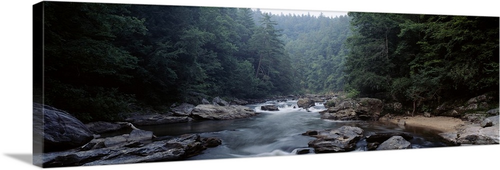 Large panoramic picture taken of a river cutting through immense trees with rocks lining the sides and sitting in the midd...