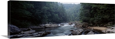River flowing through a forest, Chattooga River, Georgia near South Carolina