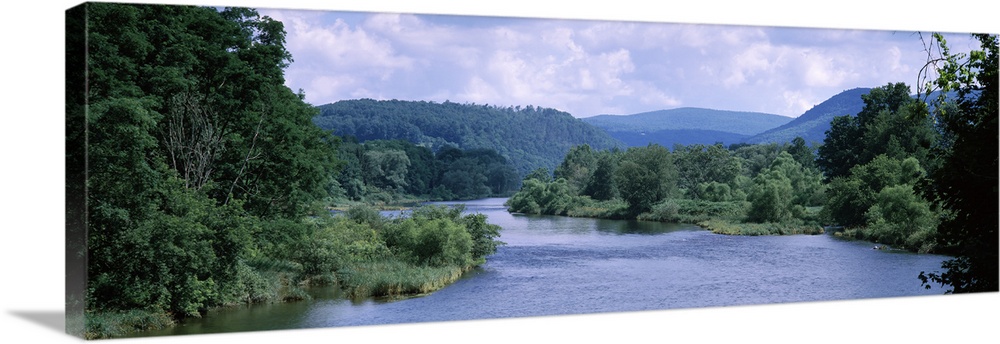 River flowing through a forest, Delaware River, Delaware County, New York State