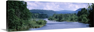 River flowing through a forest, Delaware River, Delaware County, New York State