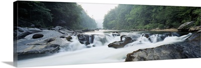River flowing through a forest, Raven Chute, Chattooga River, Georgia and South Carolina