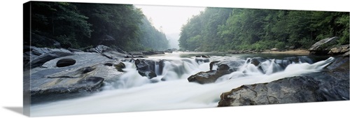 River flowing through a forest, Raven Chute, Chattooga River, Georgia ...