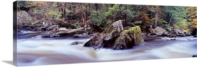 River flowing through a forest River Braan The Hermitage Dunkeld Perth and Kinross Scotland