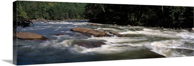River flowing through a forest, Slice and Dice Rapids, Ocoee River, Cherokee National Forest, Tennessee