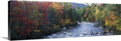 River flowing through a forest, Swift River, Conway, Carroll County, New Hampshire