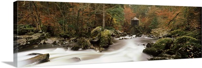 River flowing through a forest, The Hermitage, Dunkeld, Perth And Kinross, Scotland
