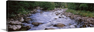 River flowing through a forest, West Branch of the Ausable River, Adirondack Mountains, New York State,