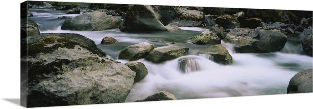 River flowing through rocks, Skokomish River, Olympic National Park, Washington State