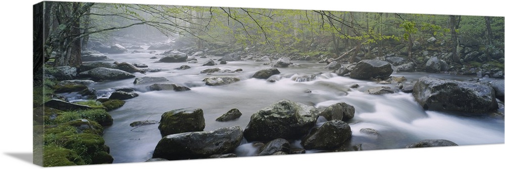 Wall art of water rushing over and through rocks in a river with a forest on either side.