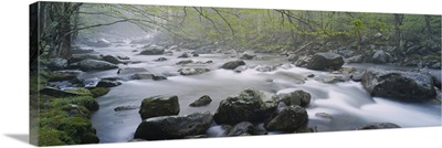 River flowing through the forest, Little Pigeon River, Great Smoky Mountains National Park, Tennessee
