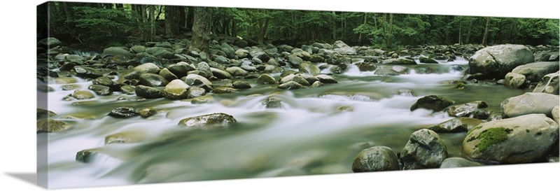 River running through a forest, Little Pigeon River, Great Smoky ...