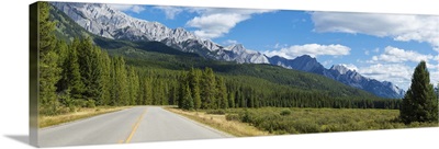 Road passing through a forest, Bow Valley Parkway, Canada