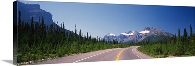Road passing through a forest, Trans Canada Highway, Banff National Park, Alberta, Canada