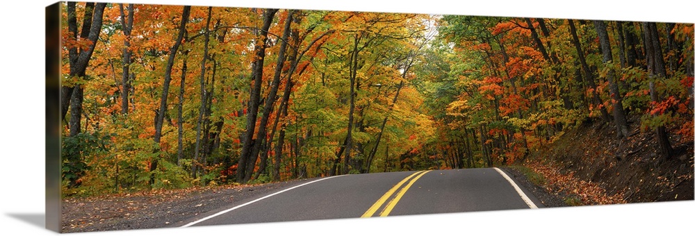 Road passing through a forest, U.S. Route 41, Keweenaw County, Keweenaw Peninsula, Michigan