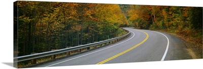 Road passing through a forest, Winding Road, New Hampshire