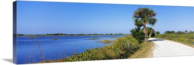 Road passing through a landscape, Black Point Wildlife Drive, Merritt Island National Wildlife Refuge, Titusville, Florida