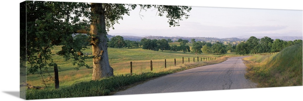 Road passing through a landscape, Country Road 208, Madera County, California