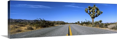 Road passing through a landscape, Mojave Desert, Joshua Tree National Monument, California