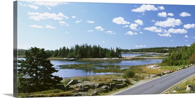 Road passing through a landscape, Park Loop Road, Acadia National Park, Maine