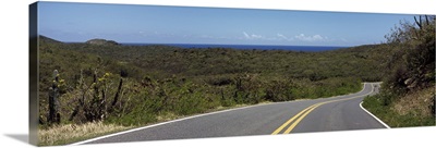 Road passing through a landscape, U.S. Virgin Islands Highway 107, Salt Pond Bay, St. John, US Virgin Islands