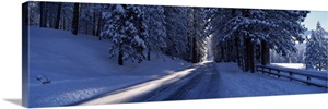 Road passing through a landscape, Wawona, Yosemite National Park, California image thumbnail
