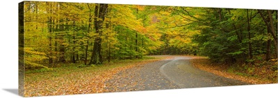 Road passing through a park, Chestnut Ridge County Park, New York