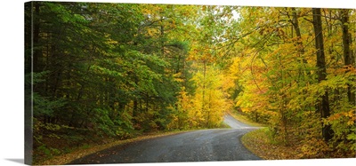 Road passing through a park, Chestnut Ridge County Park, New York